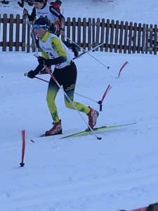 Veronesi Aurora 4